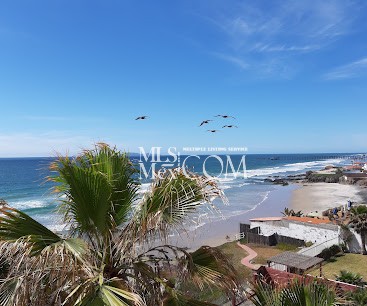 Las Olas 1 | Oceanfront Condos for Rent in Rosarito, Baja California Las Olas 1 | Oceanfront Condos for Rent in Rosarito, Baja California