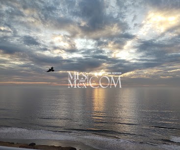 Palacio del Mar | Luxury Oceanfront Condos for Rent in Rosarito, Baja California Palacio del Mar | Luxury Oceanfront Condos for Rent in Rosarito, Baja California