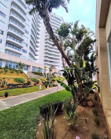 Palacio del Mar | Luxury Oceanfront Condos for Rent in Rosarito, Baja California Palacio del Mar | Luxury Oceanfront Condos for Rent in Rosarito, Baja California