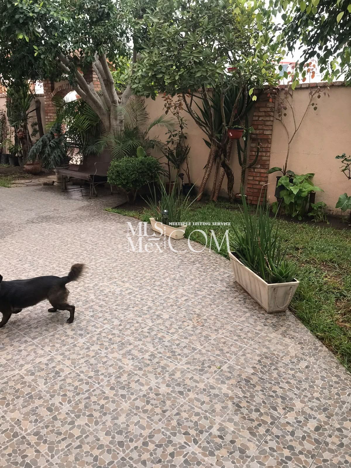 Fully Furnished 4-Bedroom Home for Rent in Rosarito | 2-Car Garage & Patio