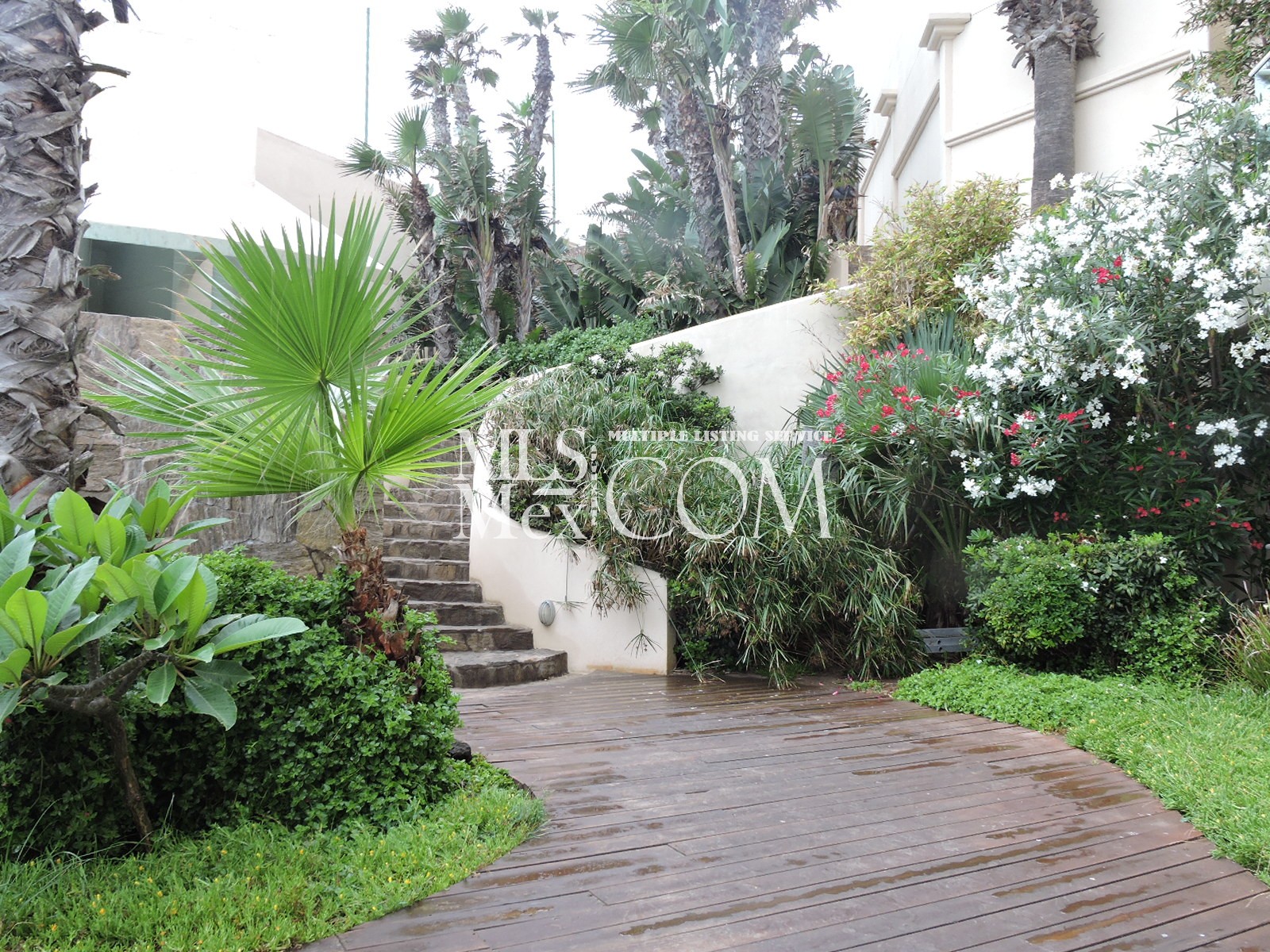 Las Olas Grand Resort & Spa | Luxury Oceanfront Condos for Rent in Rosarito Beach