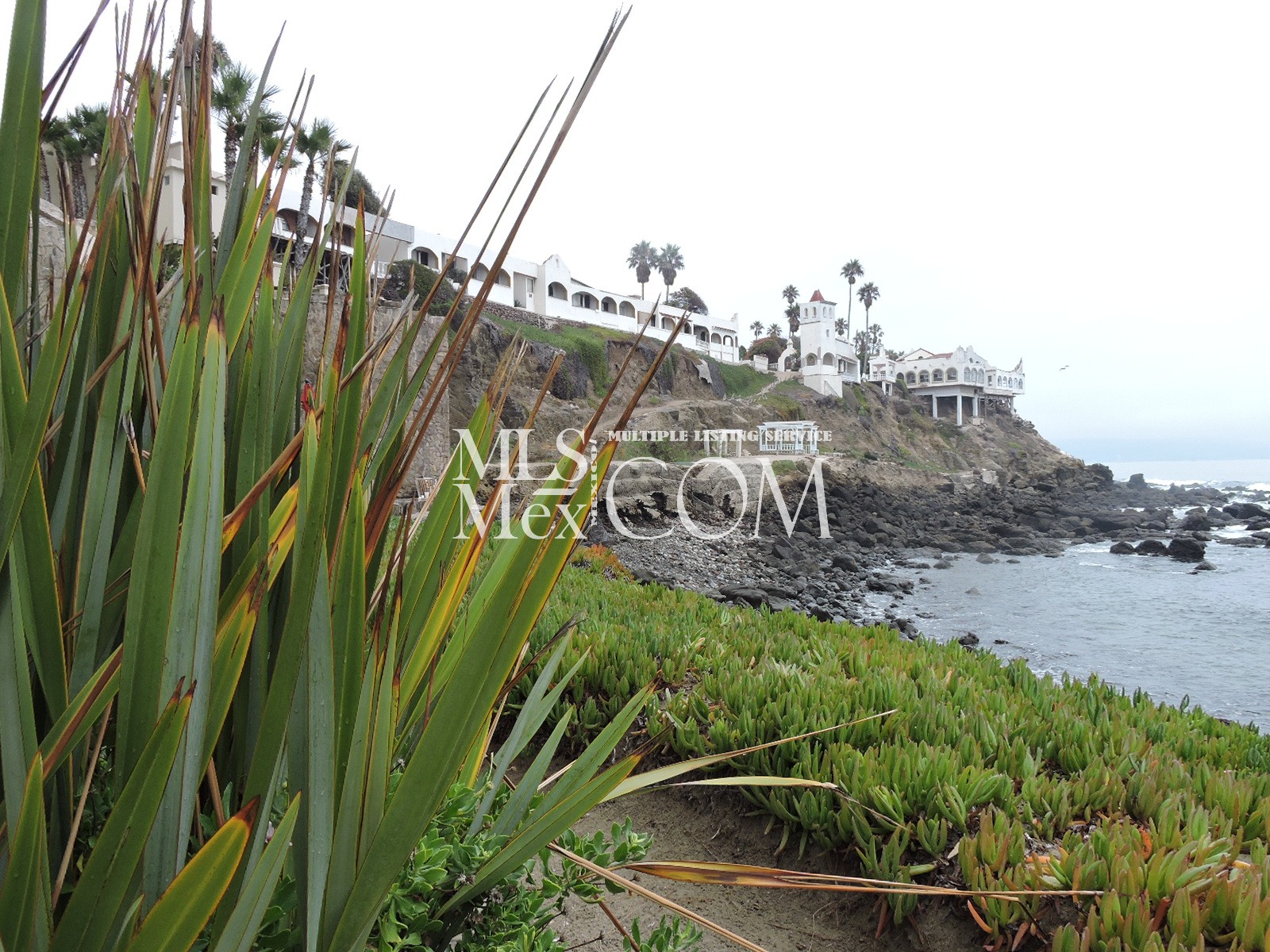 Las Olas Grand Resort & Spa | Luxury Oceanfront Condos for Rent in Rosarito Beach
